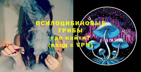 MESCALINE Няндома