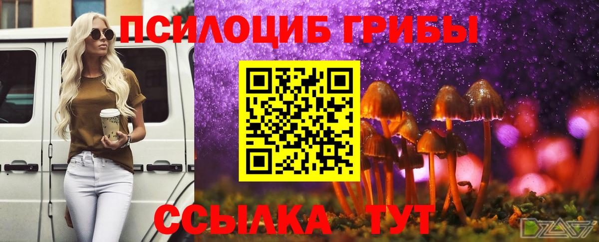 Псилоцибиновые грибы GOLDEN TEACHER  Ессентуки  Галлюциногенные грибы Magic Shrooms 